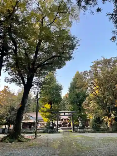 大神神社の鳥居