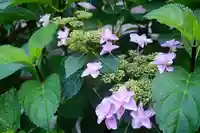 十日恵比須神社(福岡県)