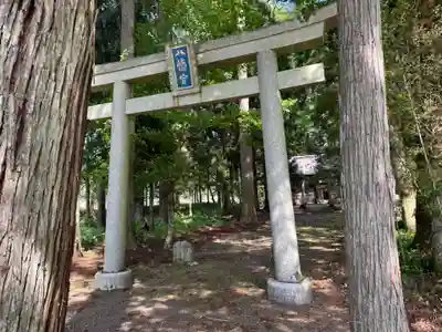 八幡神社(樺八幡神社)の鳥居