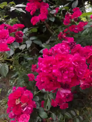 東蕗田天満社の自然