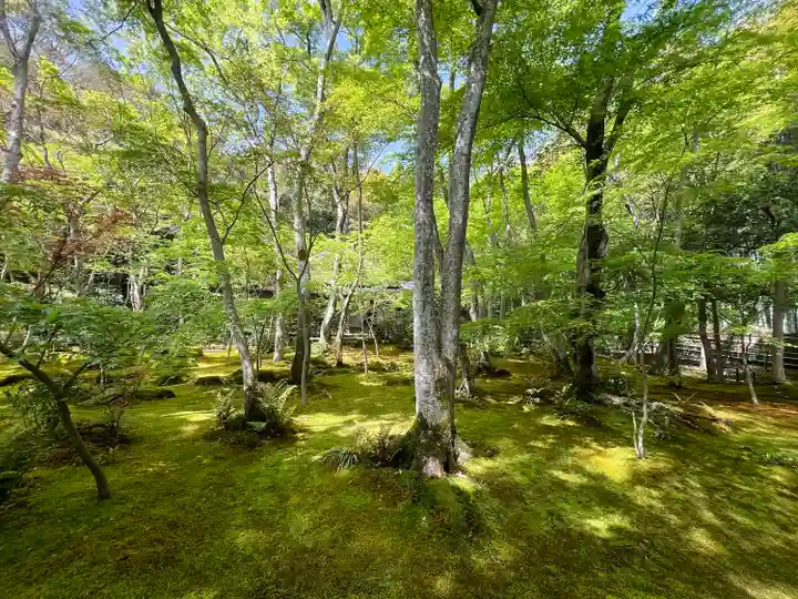 祇王寺(京都府)
