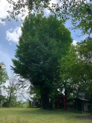 虚空蔵尊(千葉県)