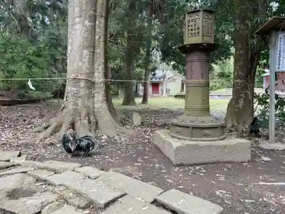 伊佐須美神社(福島県)