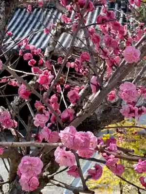 最勝金剛院の自然