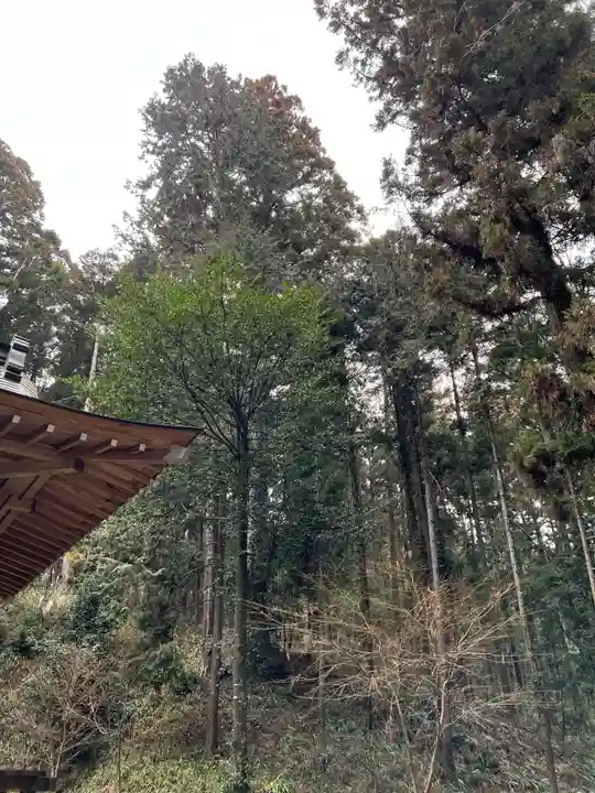 大宮温泉神社(栃木県)