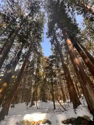 平泉寺白山神社の周辺