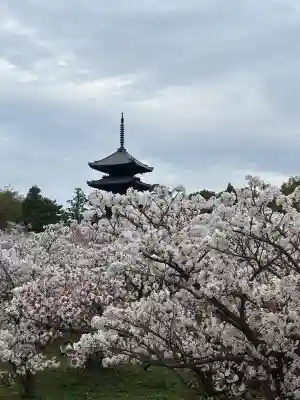 仁和寺の{uncategorized: "未分類", other: "その他", undefined: "問題あり", building: "その他建物", grave: "お墓", sacred_gate: "鳥居", guardian: "狛犬", statue: "像", buddha: "仏像", history: "歴史", nature: "自然", garden: "庭園", animal: "動物", pagoda: "塔", temizu: "手水舎", mountain_gate: "山門・神門", sanctuary: "本殿・本堂", subordinate: "末社・摂社", art: "芸術", scenery: "景色", jizo: "地蔵", ema: "絵馬", goshuin: "御朱印", omikuji: "おみくじ", items: "授与品その他", amulet: "お守り", goshuincho: "御朱印帳", eats: "食事", festival: "お祭り", votive_dance: "神楽", shichigosan: "七五三参", wedding: "結婚式", experience: "体験その他", initially: "初詣", around: "周辺", anti_infection: "感染症対策"}