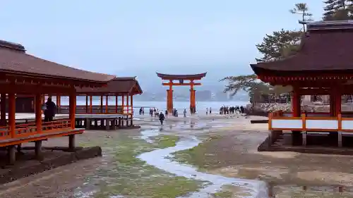 厳島神社の{uncategorized: "未分類", other: "その他", undefined: "問題あり", building: "その他建物", grave: "お墓", sacred_gate: "鳥居", guardian: "狛犬", statue: "像", buddha: "仏像", history: "歴史", nature: "自然", garden: "庭園", animal: "動物", pagoda: "塔", temizu: "手水舎", mountain_gate: "山門・神門", sanctuary: "本殿・本堂", subordinate: "末社・摂社", art: "芸術", scenery: "景色", jizo: "地蔵", ema: "絵馬", goshuin: "御朱印", omikuji: "おみくじ", items: "授与品その他", amulet: "お守り", goshuincho: "御朱印帳", eats: "食事", festival: "お祭り", votive_dance: "神楽", shichigosan: "七五三参", wedding: "結婚式", experience: "体験その他", initially: "初詣", around: "周辺", anti_infection: "感染症対策"}