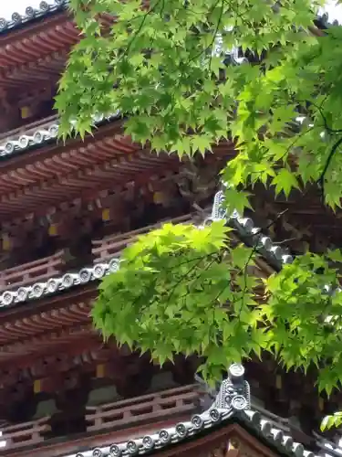 海住山寺の自然