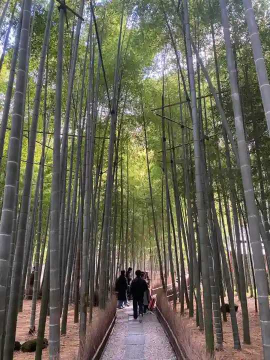 報国寺(神奈川県)