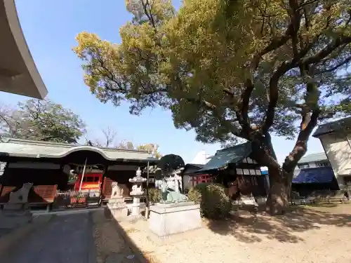 丹南天満宮の{uncategorized: "未分類", other: "その他", undefined: "問題あり", building: "その他建物", grave: "お墓", sacred_gate: "鳥居", guardian: "狛犬", statue: "像", buddha: "仏像", history: "歴史", nature: "自然", garden: "庭園", animal: "動物", pagoda: "塔", temizu: "手水舎", mountain_gate: "山門・神門", sanctuary: "本殿・本堂", subordinate: "末社・摂社", art: "芸術", scenery: "景色", jizo: "地蔵", ema: "絵馬", goshuin: "御朱印", omikuji: "おみくじ", items: "授与品その他", amulet: "お守り", goshuincho: "御朱印帳", eats: "食事", festival: "お祭り", votive_dance: "神楽", shichigosan: "七五三参", wedding: "結婚式", experience: "体験その他", initially: "初詣", around: "周辺", anti_infection: "感染症対策"}