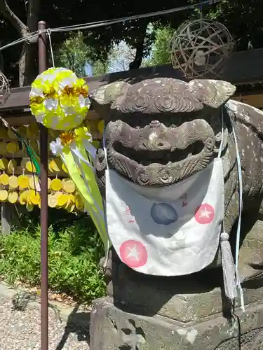 菊田神社の狛犬