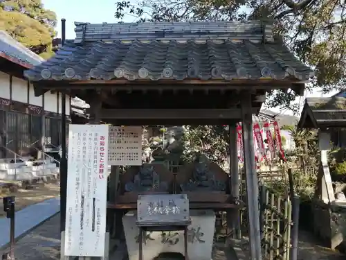 金蓮寺の手水舎