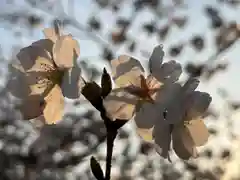 湯島天満宮(長野分社)(長野県)