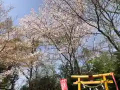 大生郷天満宮の自然