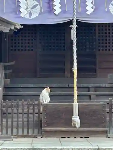 雀神社(茨城県)