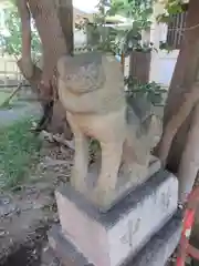 大江神社の狛犬