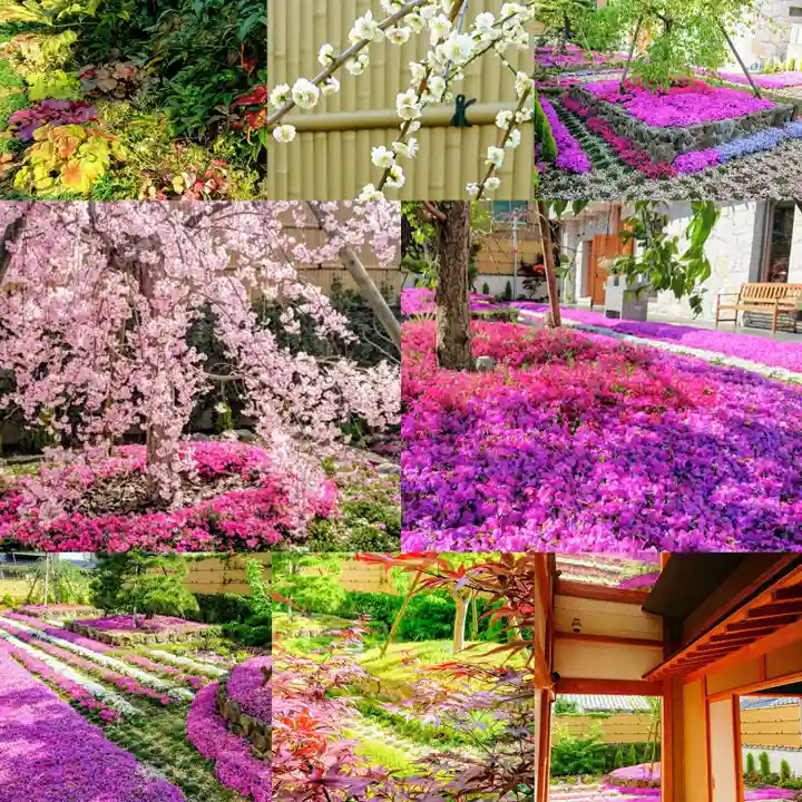 寿量山 速成寺の自然