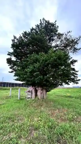 龍神社(北海道)