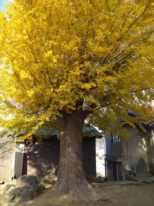 八重垣神社の自然