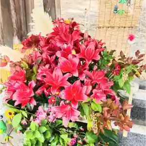 彌彦神社 (伊夜日子神社)(北海道)(2025年08月27日(水) 09時14分43秒投稿)