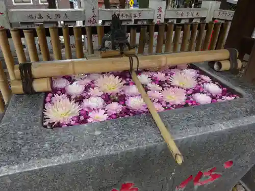 高円寺氷川神社の手水