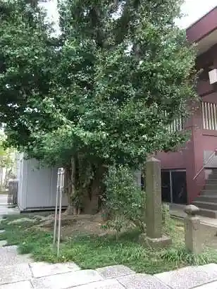 安養寺(東京都)