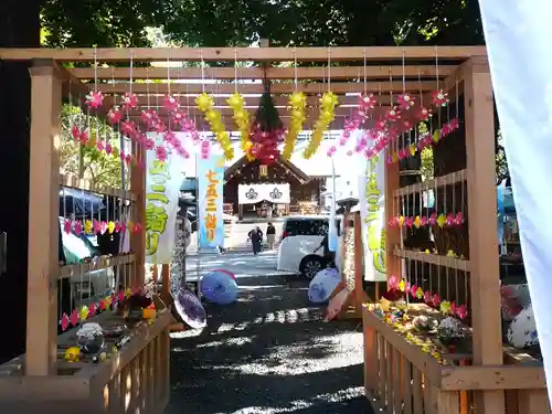 札幌諏訪神社の七五三参