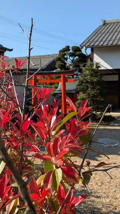 東南寺(滋賀県)