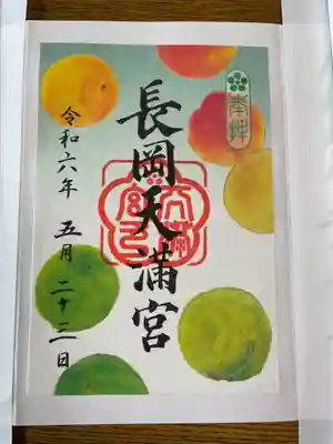 季節の御朱印　青梅雨