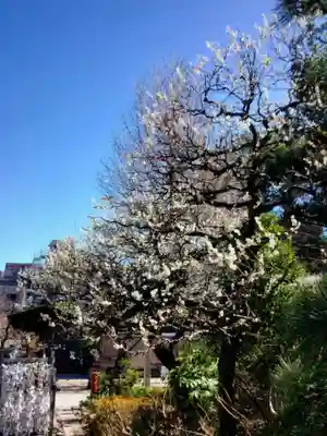 布多天神社(東京都)