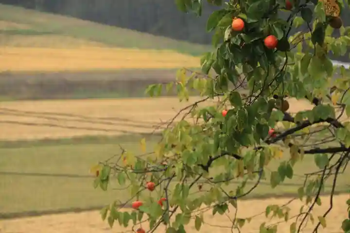 阿久津「田村神社」(郡山市阿久津町)旧社名:伊豆箱根三嶋三社の自然