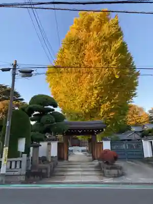 東光寺(東京都)