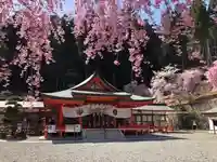 金櫻神社の本殿・本堂