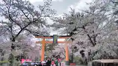 平野神社の鳥居