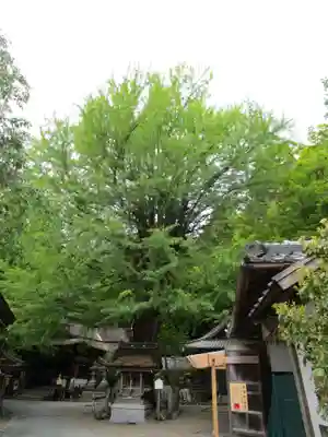 正法寺(滋賀県)