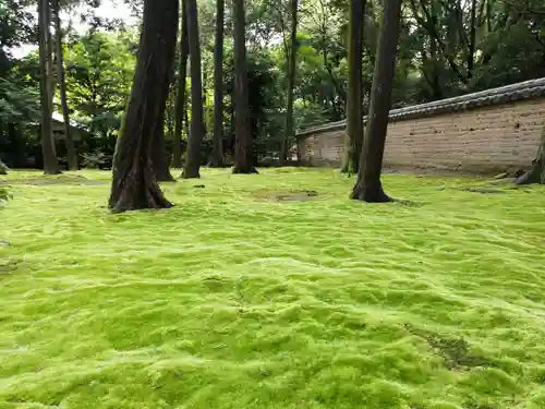 唐招提寺の庭園