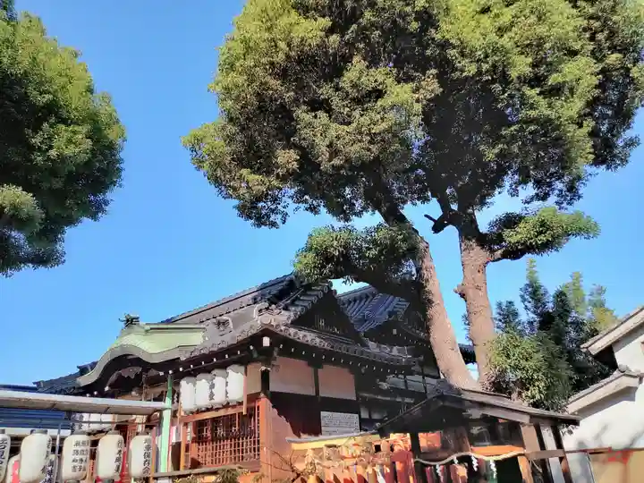 八幡宮の本殿・本堂