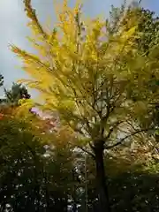 日枝神社(岐阜県)