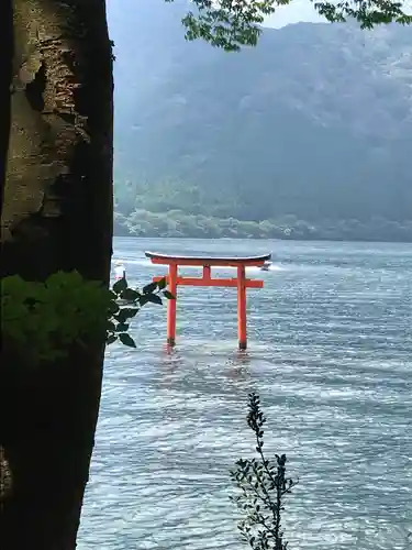 箱根神社の鳥居