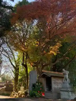 福泉寺(千葉県)