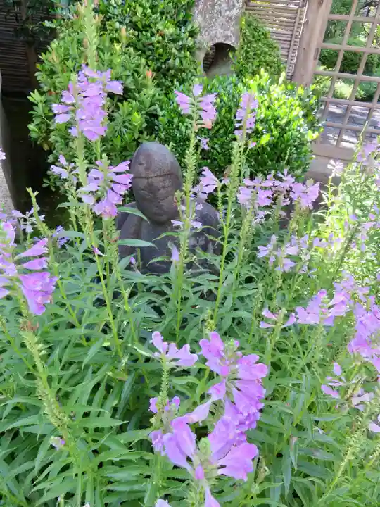 浄土宗南命山善光寺の自然