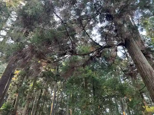 大宮温泉神社(栃木県)