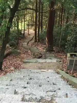 石上布都魂神社の鳥居