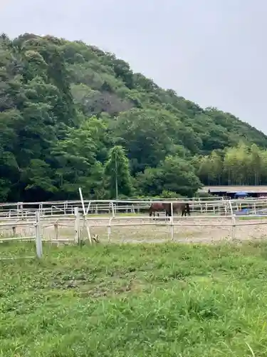 若都王子神社(兵庫県)