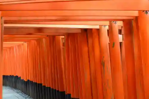 伏見稲荷大社(京都府)