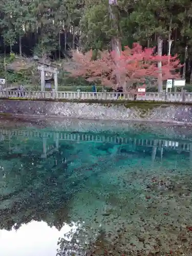 嚴島神社のその他建物