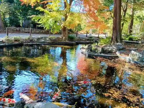 伊豆山神社(静岡県)