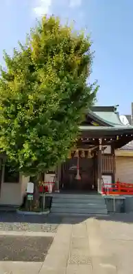 福森稲荷神社の本殿・本堂
