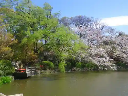 鶴岡八幡宮の庭園